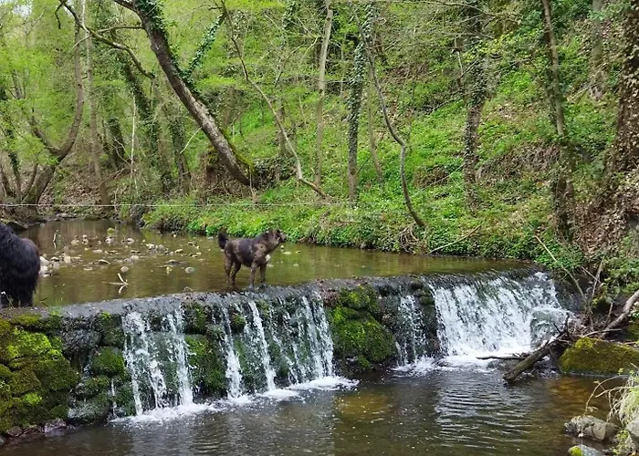 Hébergement de vacances Moulin De Joumard, De Charme 4 Personnes Le Vannoir